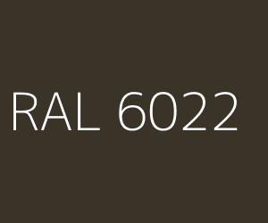 Kolor RAL 6022 OLIVE DRAB