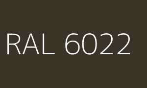 Kolor RAL 6022