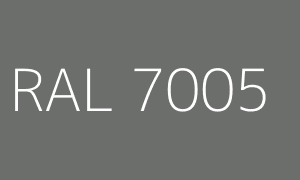 Kolor RAL 7005