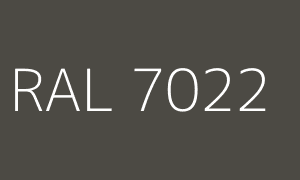 Kolor RAL 7022