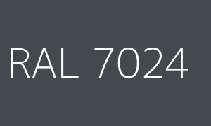 Kolor RAL 7024