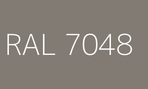 Kolor RAL 7048