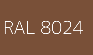 Kolor RAL 8024