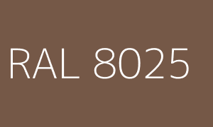 Kolor RAL 8025