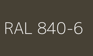 Kolor RAL 840-6