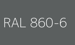 Kolor RAL 860-6