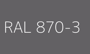 Kolor RAL 870-3