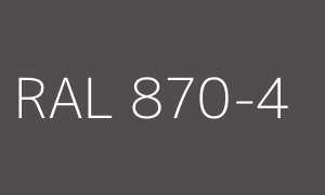 Kolor RAL 870-4