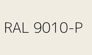 Kolor RAL 9010-P